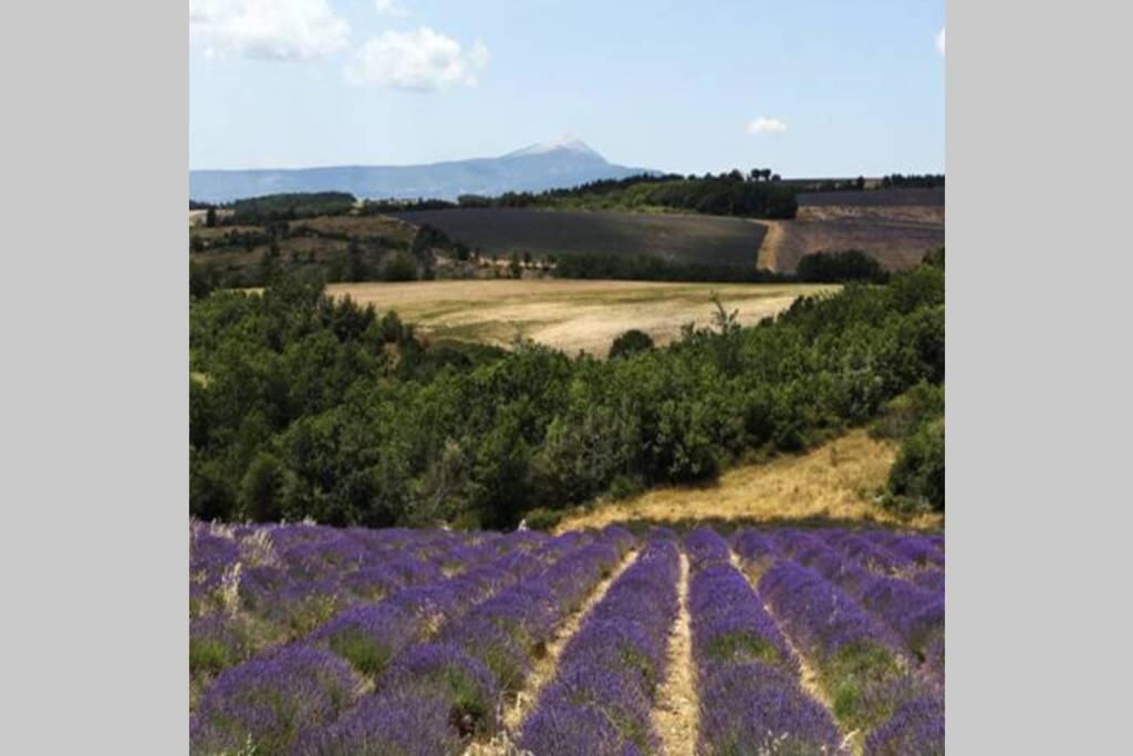 Chambre D Hotes Dans Le Vaucluse Mazan Exterior foto