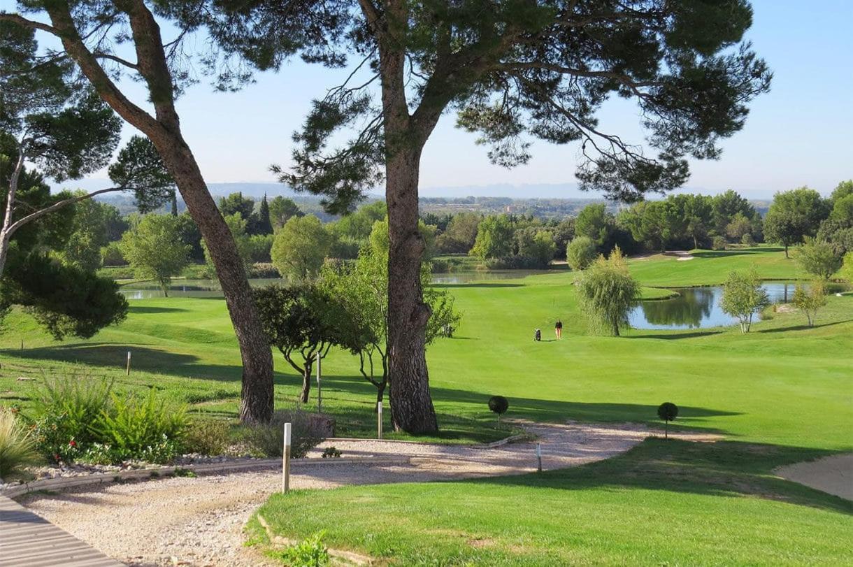 Chambre D Hotes Dans Le Vaucluse Mazan Exterior foto