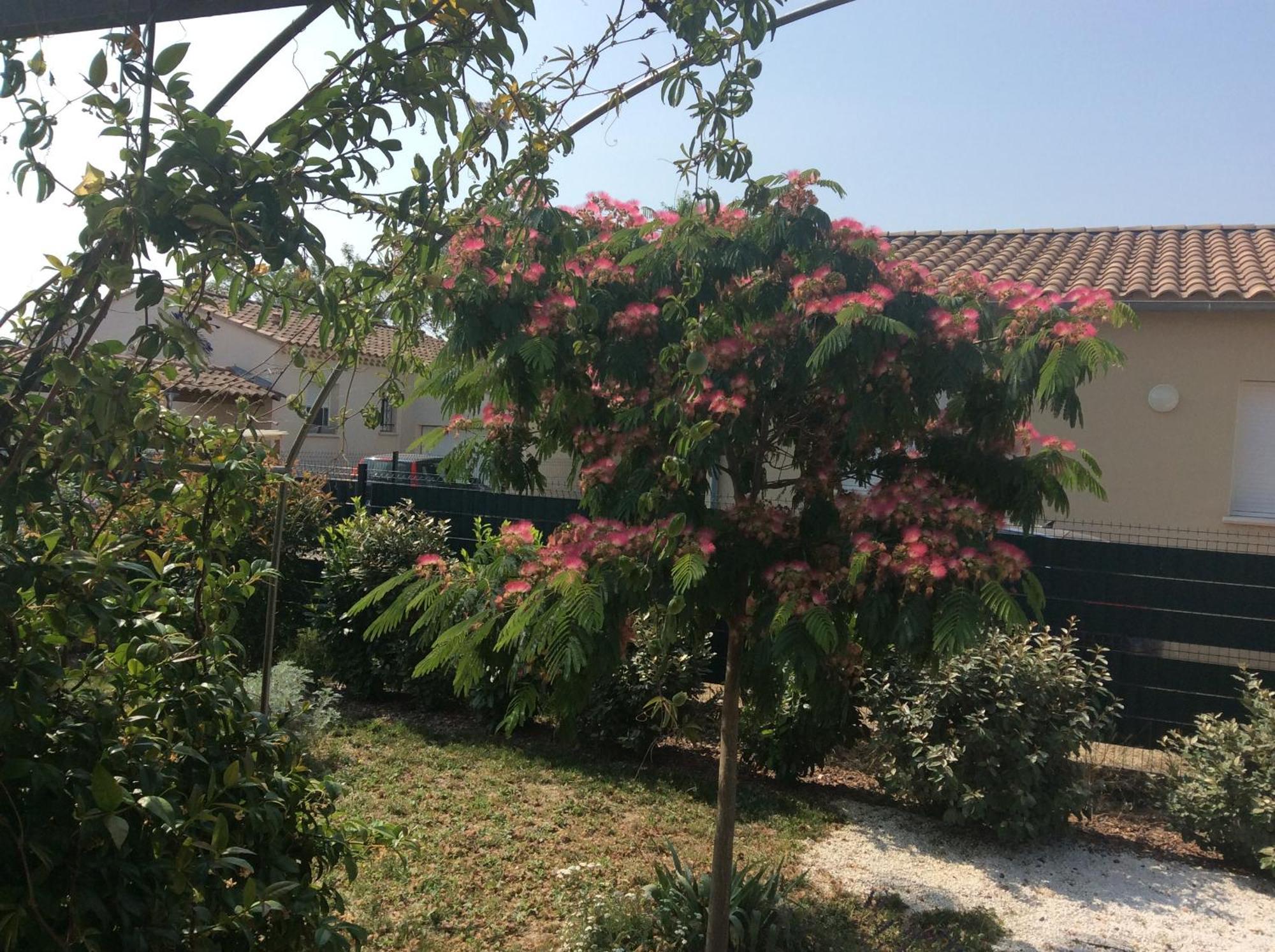 Chambre D Hotes Dans Le Vaucluse Mazan Exterior foto