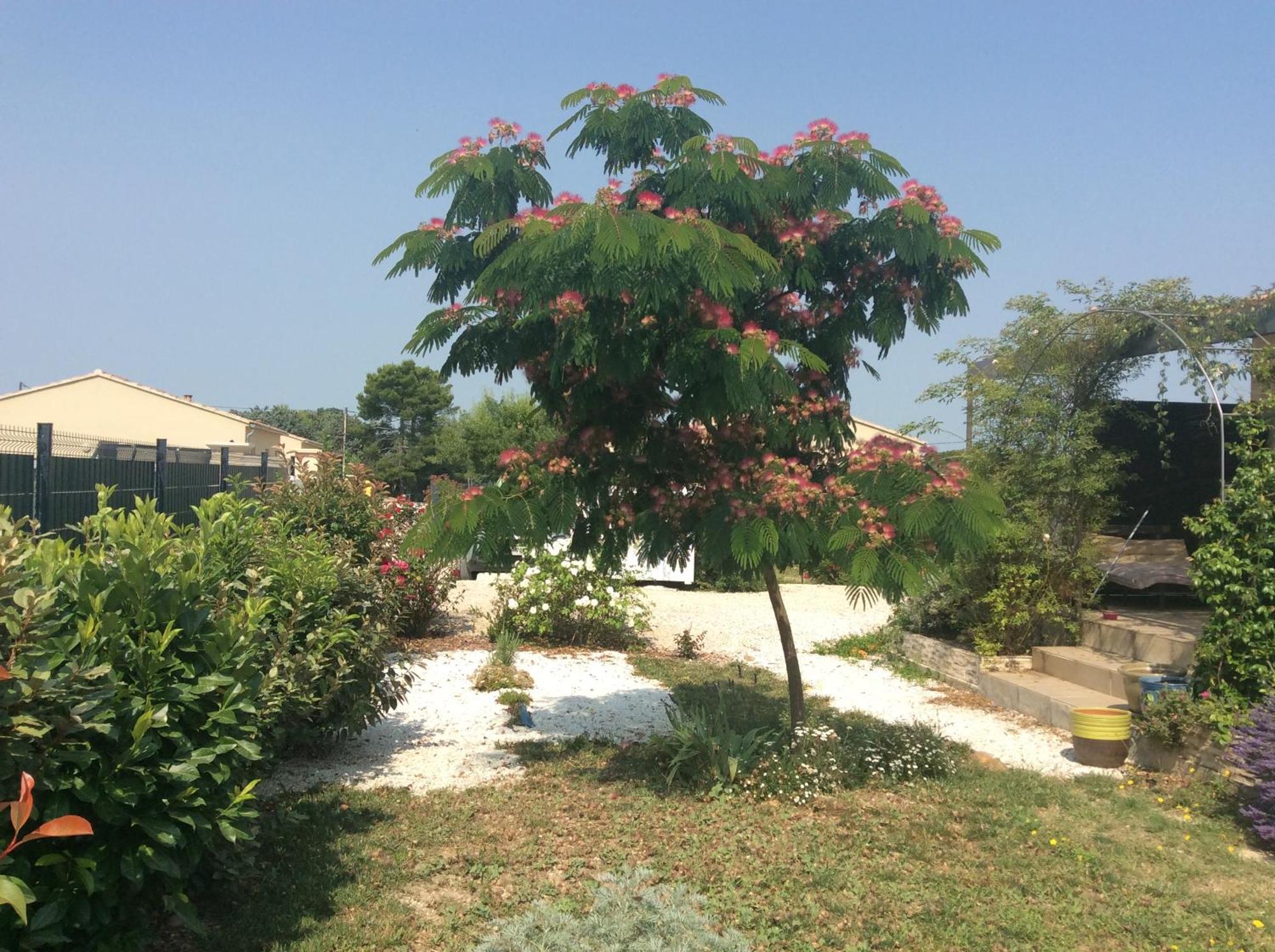 Chambre D Hotes Dans Le Vaucluse Mazan Exterior foto